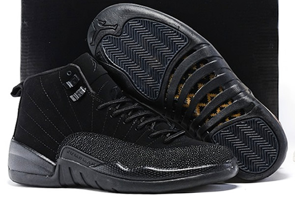 Jordan 12-019